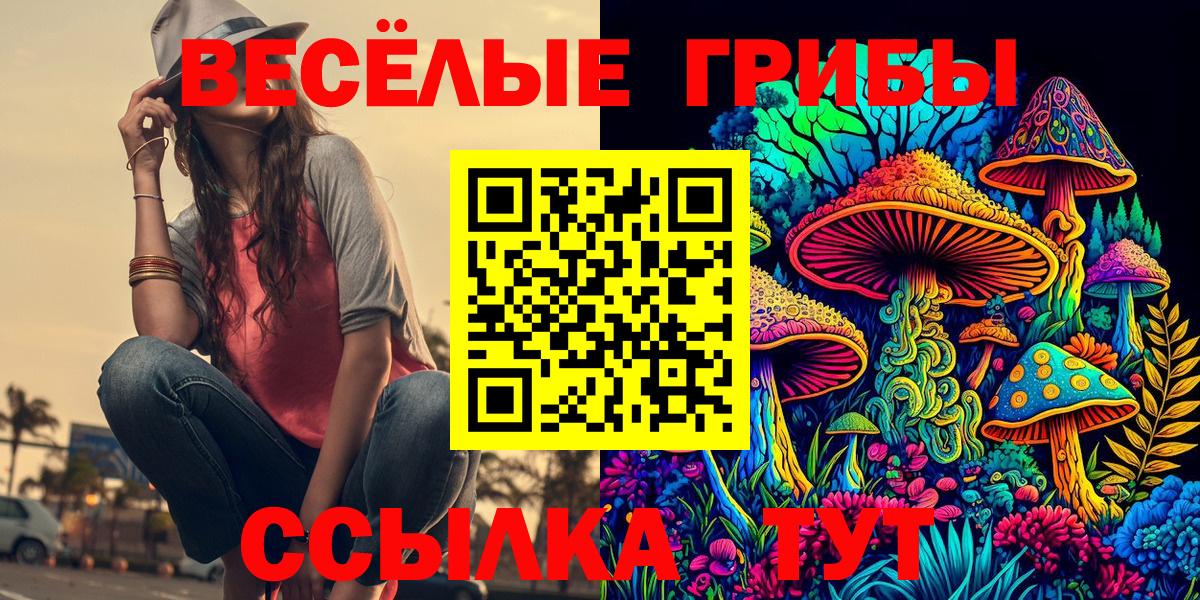 Галлюциногенные грибы Psilocybine cubensis  Вход с VPN  Галлюциногенные грибы мицелий  Лениногорск 