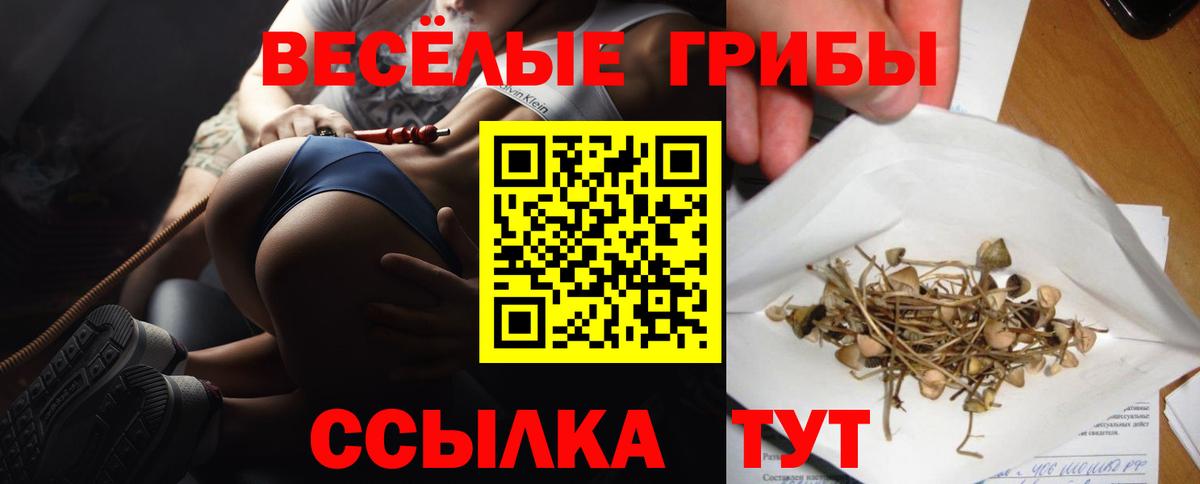Галлюциногенные грибы Cubensis Лениногорск